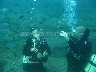 Diving In Alanya