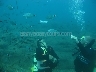 Diving In Alanya