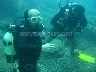 Diving In Alanya