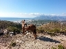 Horse Back Riding Alanya